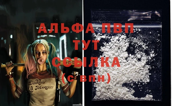 крисы Белоозёрский