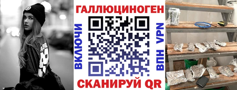 Псилоцибиновые грибы Psilocybe Дигора