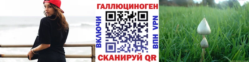 Псилоцибиновые грибы GOLDEN TEACHER Дигора